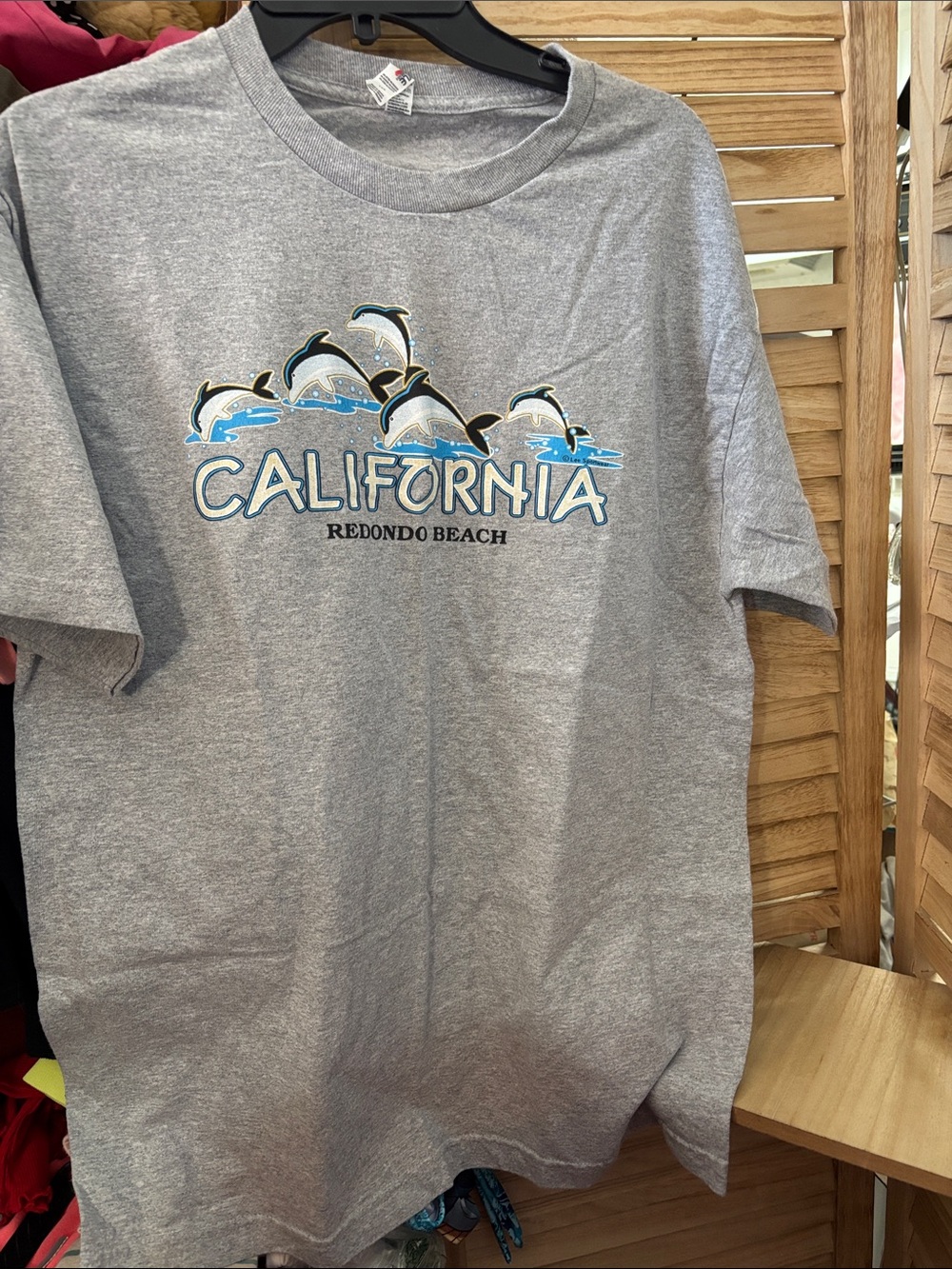 Fruit of the Loom Gray California Redondo Beach Dolphin Graphic Tee Large